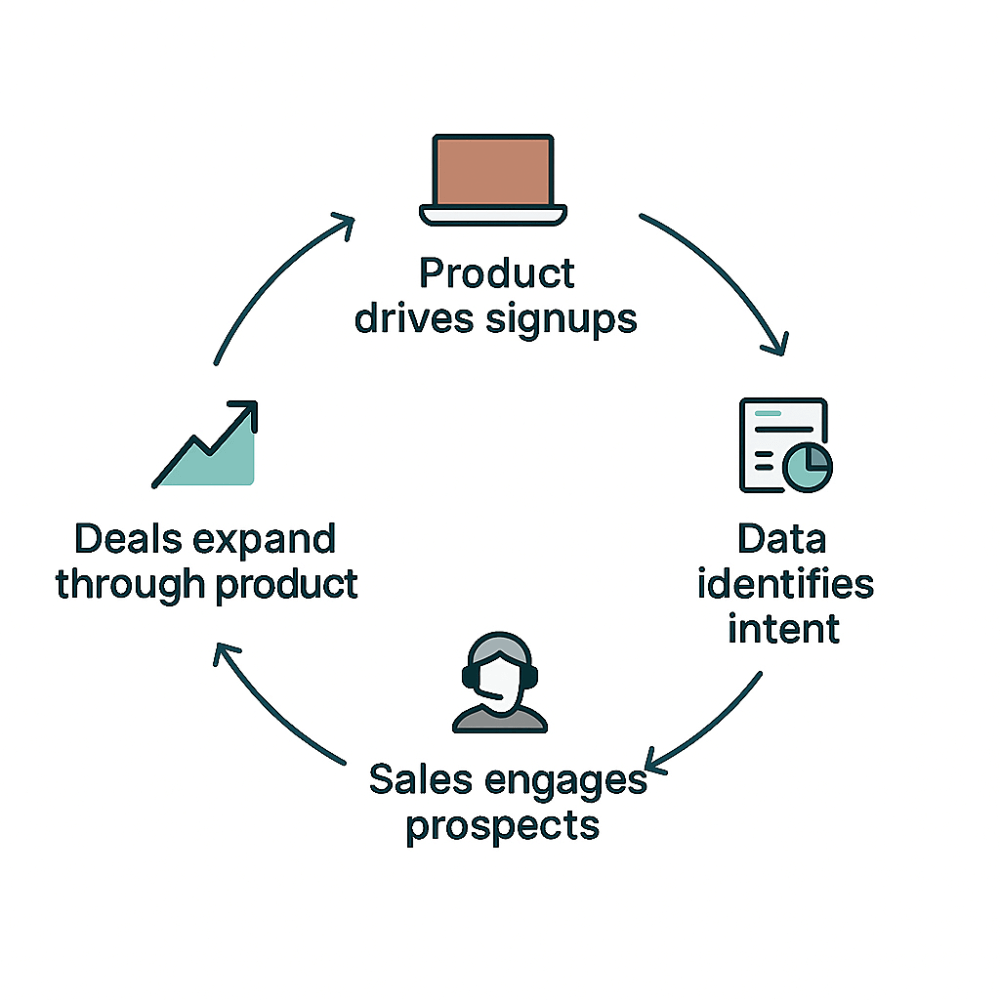 Circular diagram showing four-stage hybrid growth cycle: product drives signups, data identifies intent, sales engages prospects, deals expand through product